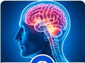 Neurology