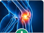 Orthopaedics